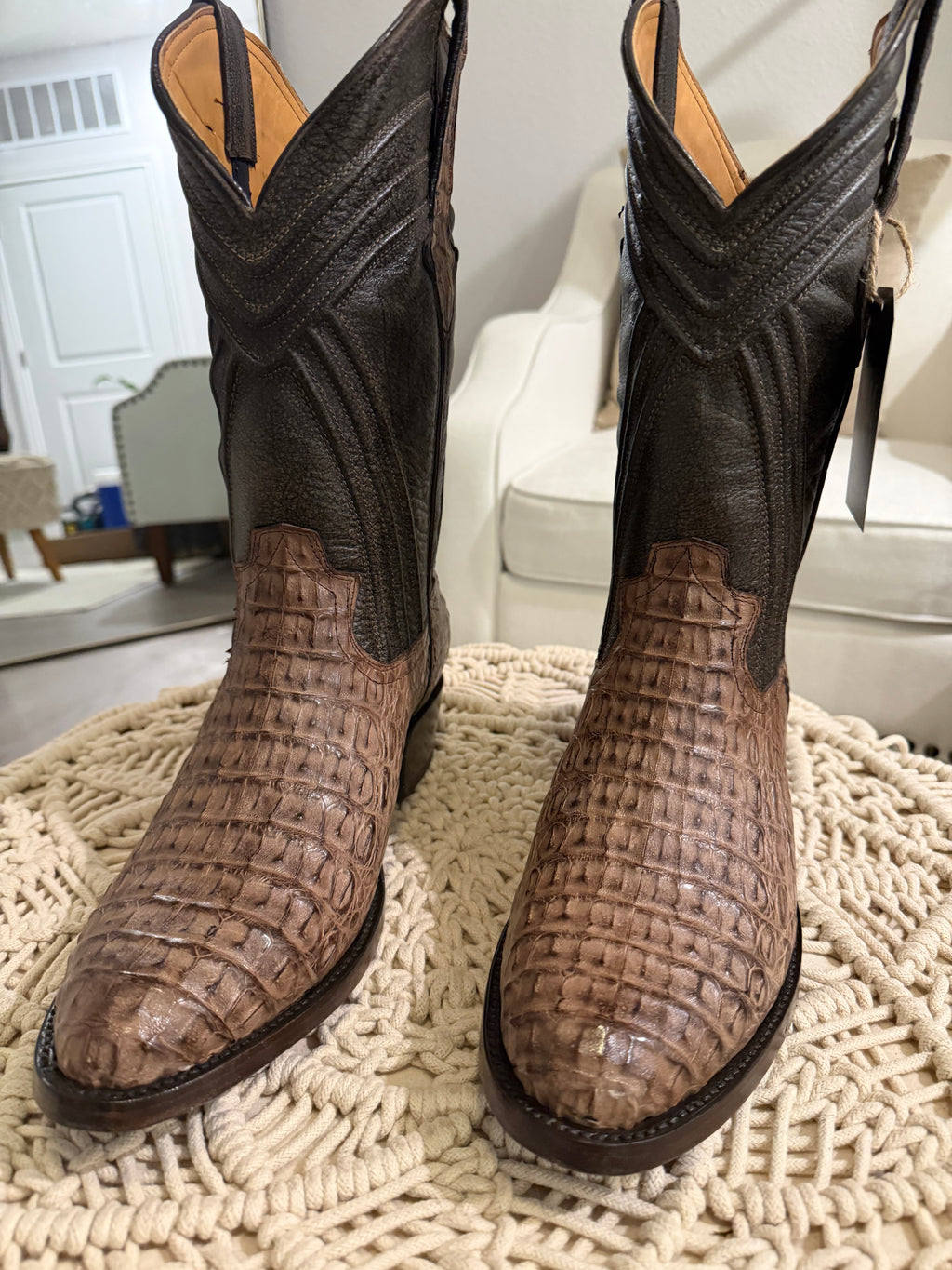 CAIMAN BACK CUT