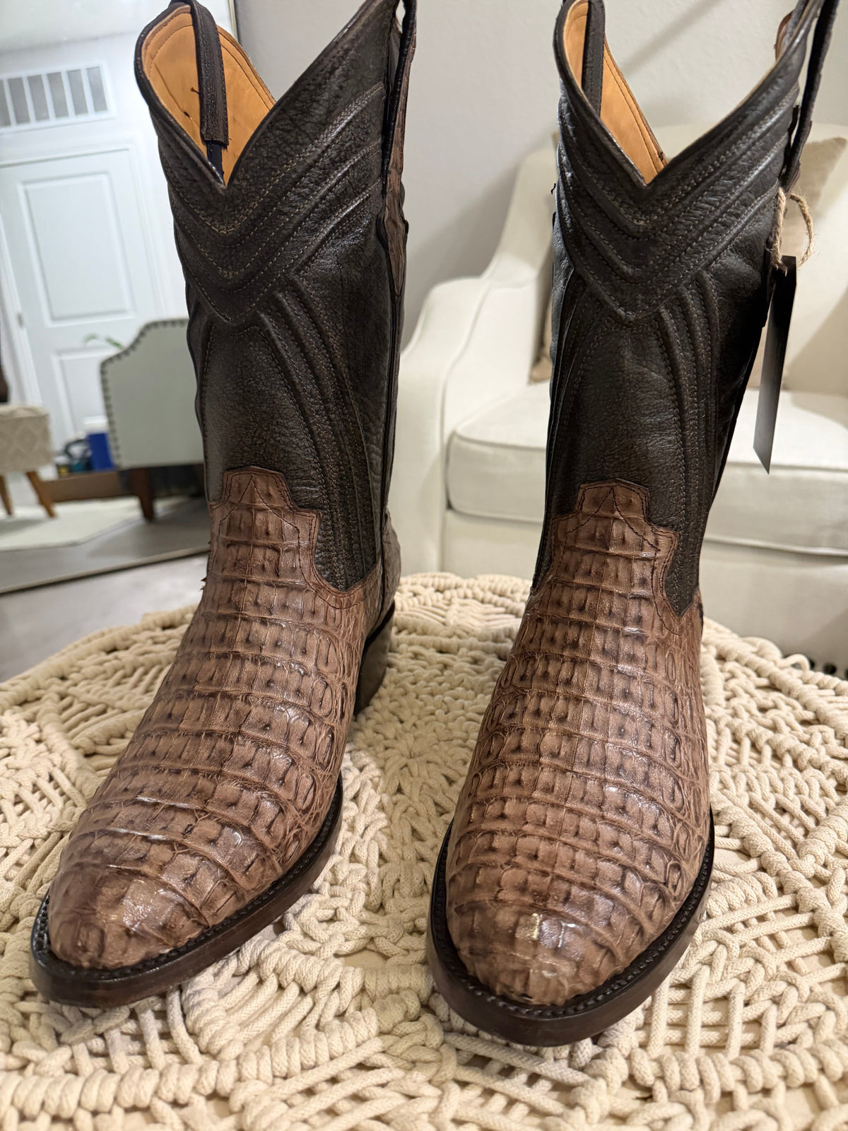 CAIMAN BACK CUT