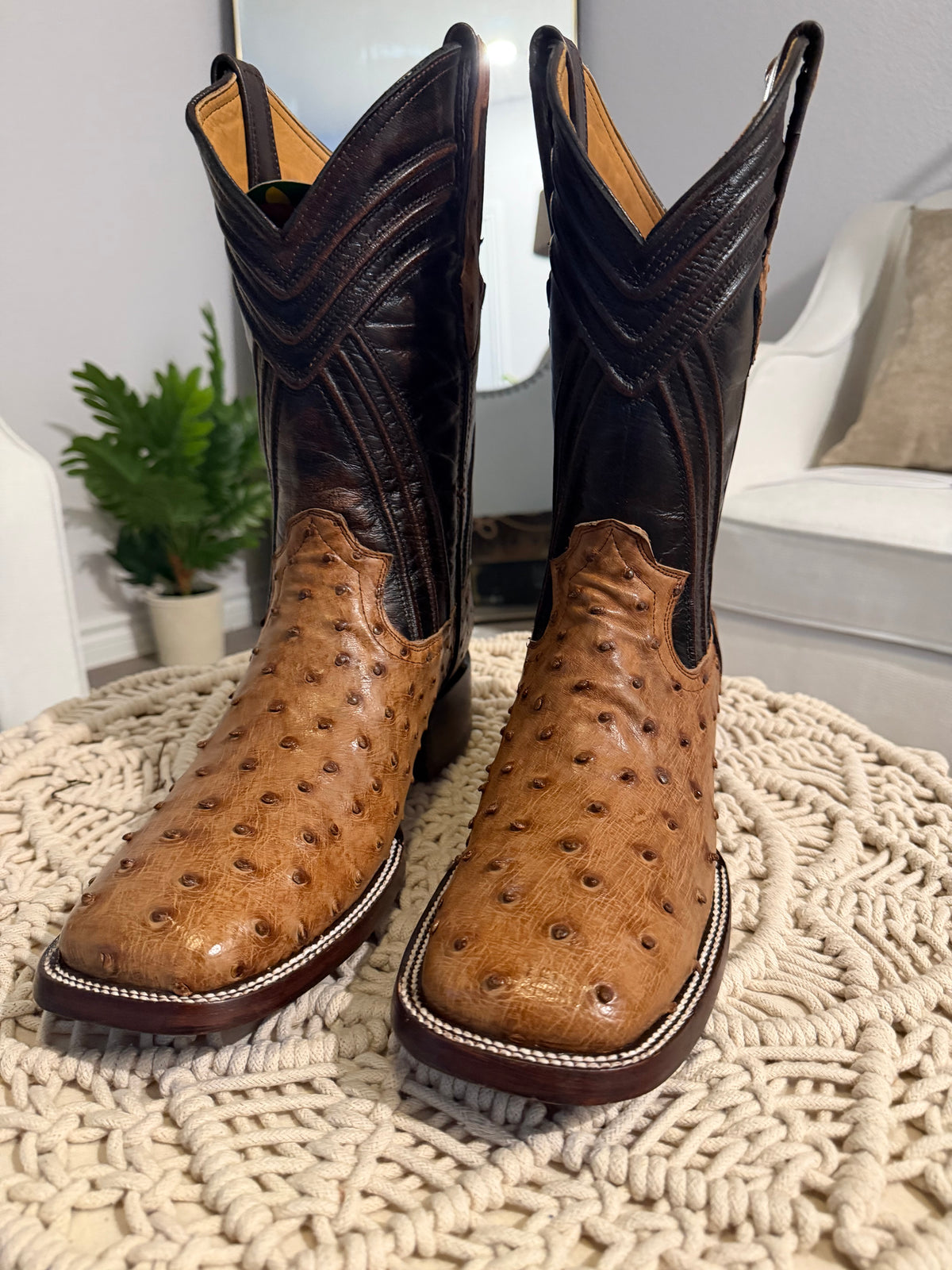 FQ BUTTERSCOTCH OSTRICH