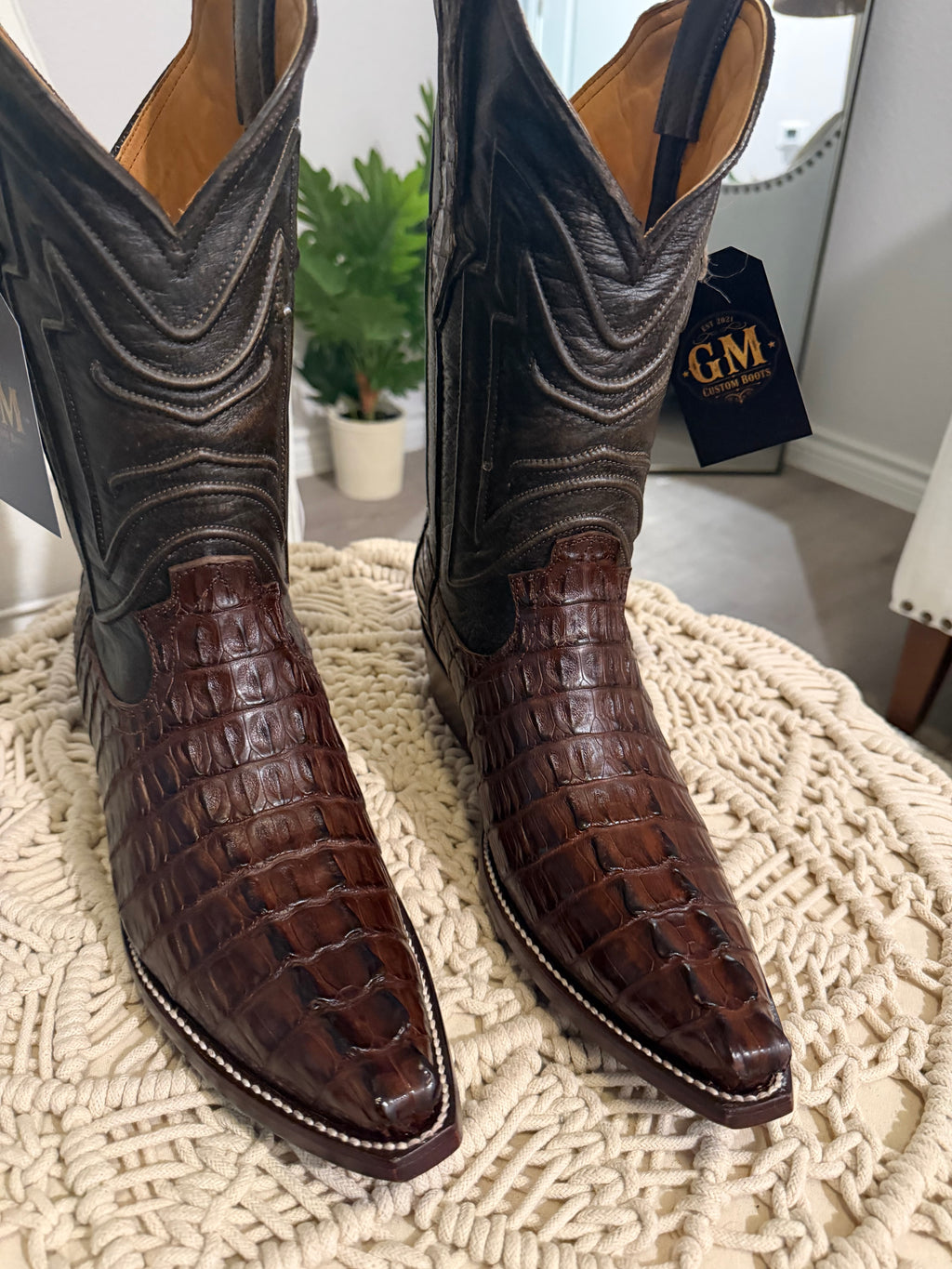 CAIMAN TAIL CUT