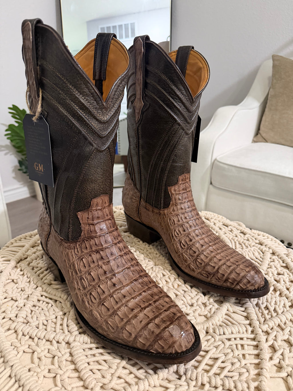 CAIMAN BACK CUT