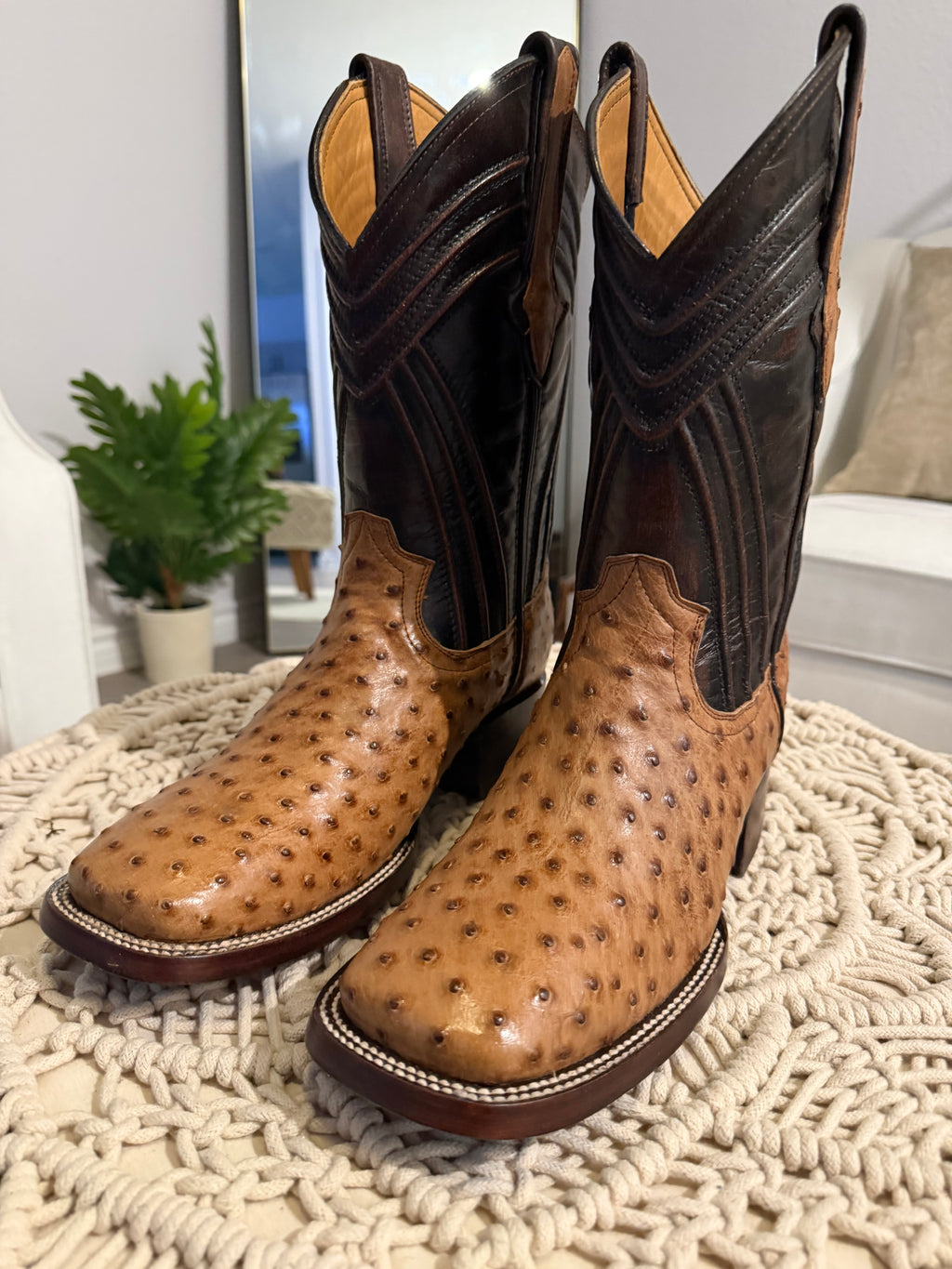 FQ BUTTERSCOTCH OSTRICH