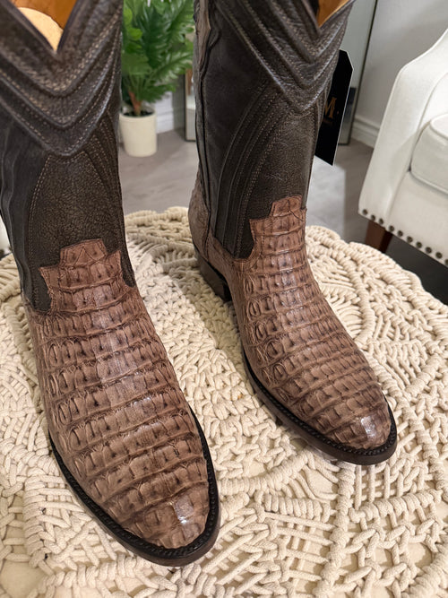 CAIMAN BACK CUT