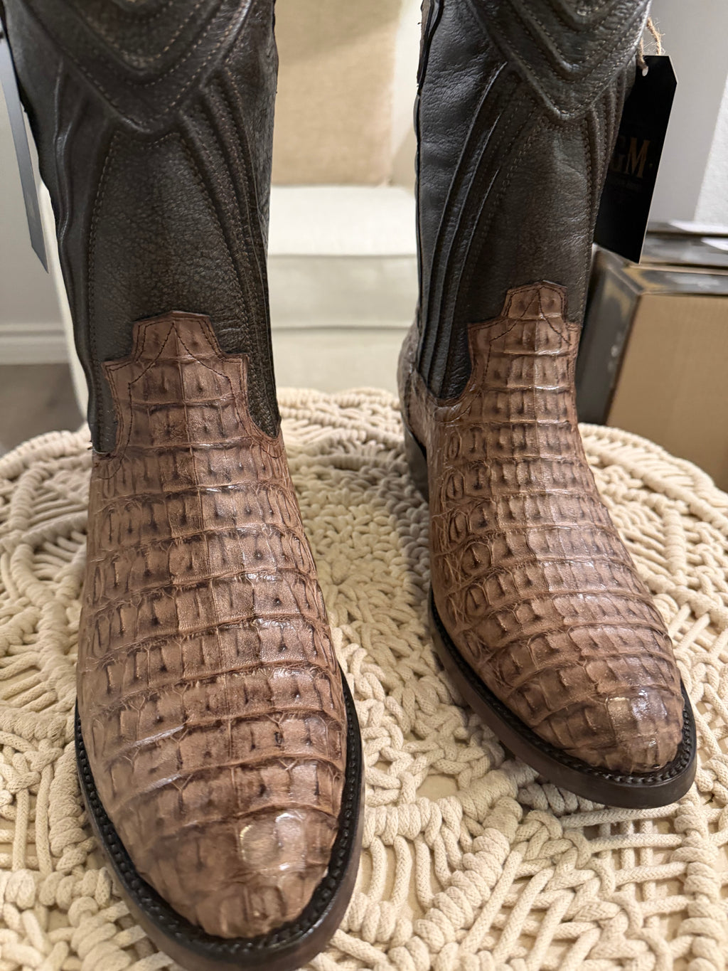 CAIMAN BACK CUT