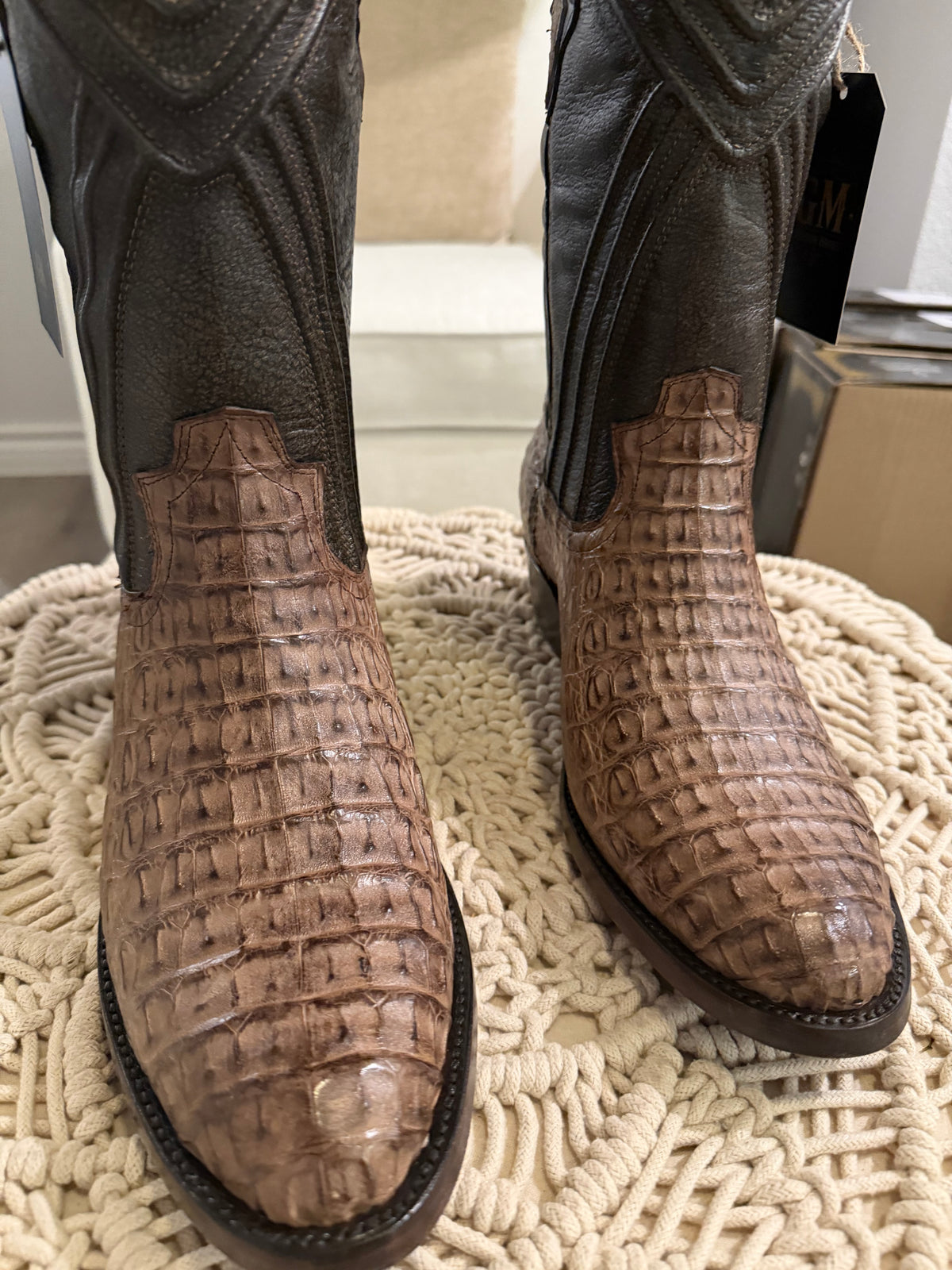 CAIMAN BACK CUT