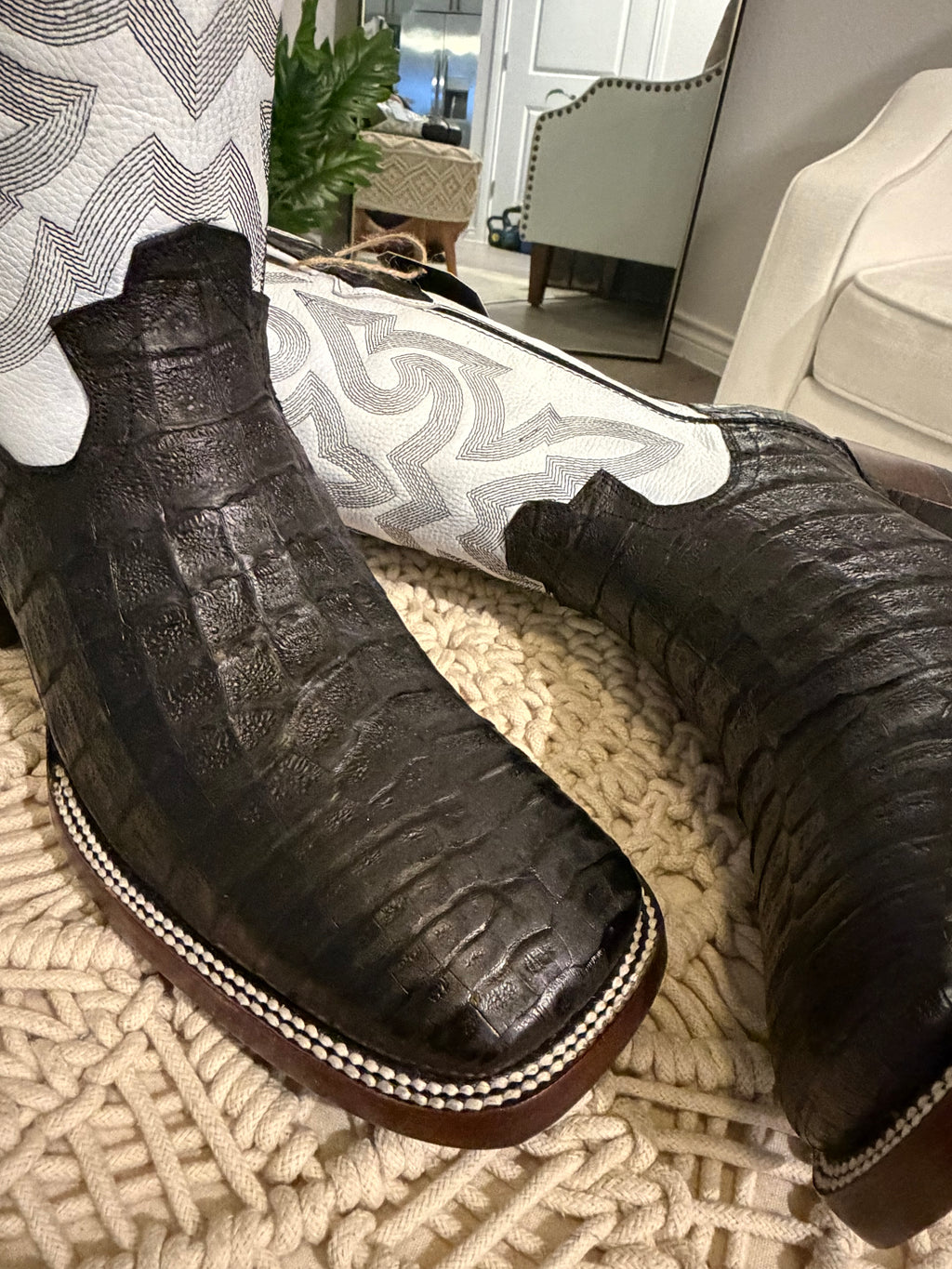 CAIMAN BELLY