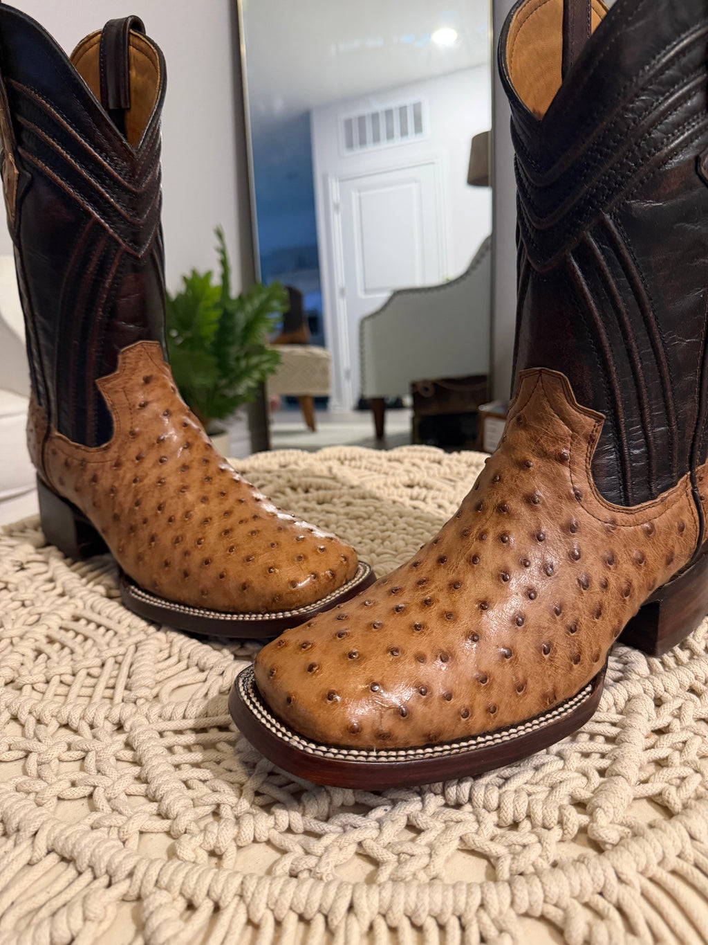 FQ BUTTERSCOTCH OSTRICH